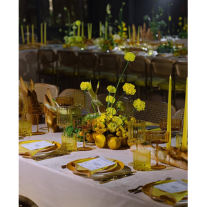 Сет бокалов Squash Этюд в желтом - изображение 4