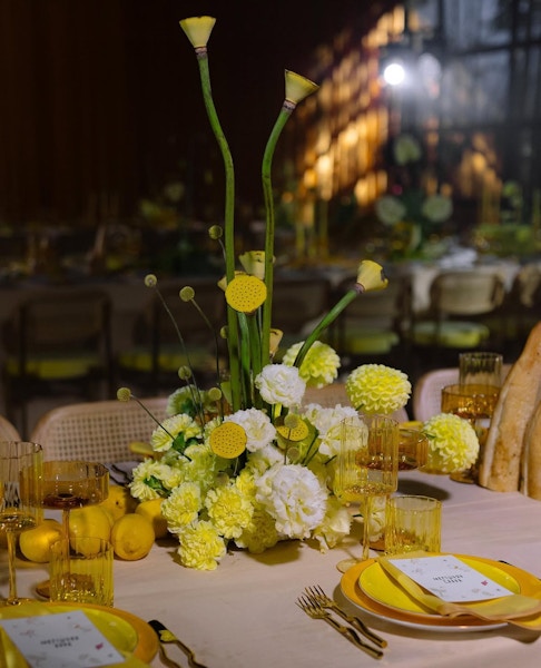 Креманка Squash Цвета утренней звезды